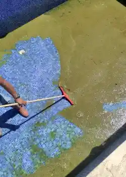 Havuz Açılışları