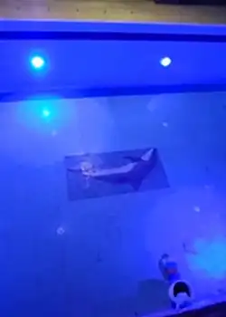 Kuşadasi Ali Bey Havuz LED Lamba  Yenileme Uygulaması